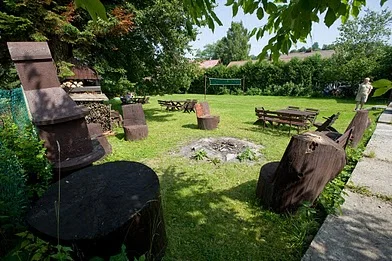 Zdjęcie z galerii