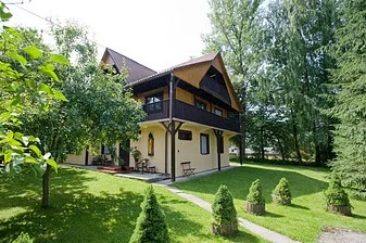 Zdjęcie z galerii