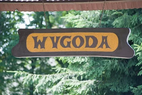 Zdjęcie z galerii