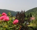 Zdjęcie z galerii